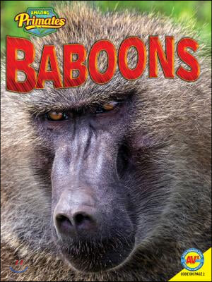 Baboons