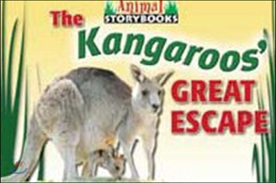 The Kangaroos&#39; Great Escape