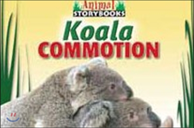 Koala Commotion