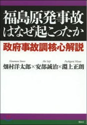 福島原發事故はなぜ起こったか 政府事故調