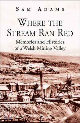 Where the Stream Ran Red: Memories and Histories of a Welsh Mining Valley