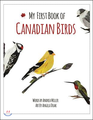 My First Book of Canadian Birds