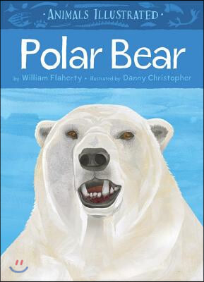 Animals Illustrated: Polar Bear