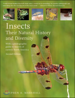 Insects: Their Natural History and Diversity: With a Photographic Guide to Insects of Eastern North America