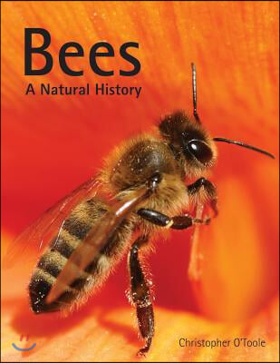 Bees: A Natural History