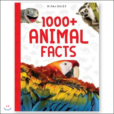 1000+ Animal Facts