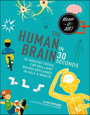 The Human Brain in 30 Seconds