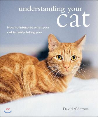 Understanding Your Cat