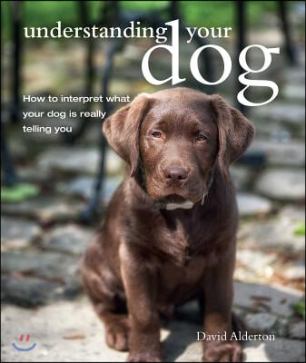 The Understanding Your Dog