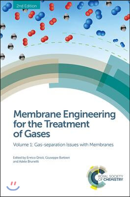 Membrane Engineering for the Treatment of Gases: Volume 1: Gas-Separation Issues with Membranes