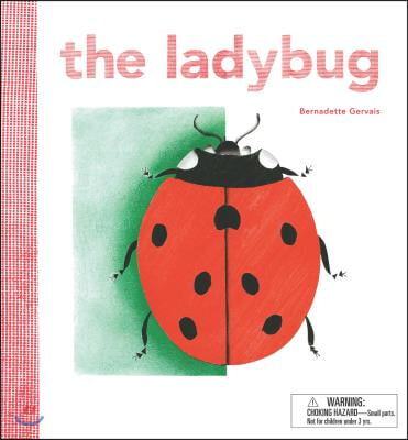 The Ladybug