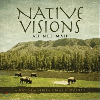 Ah Nee Mah - Native Visions