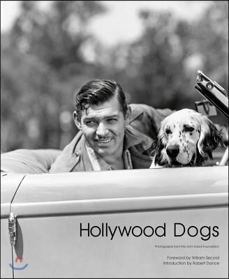 Hollywood Dogs