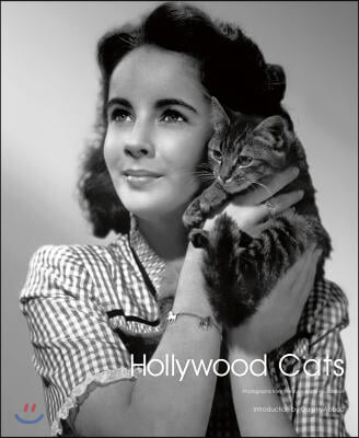 Hollywood Cats