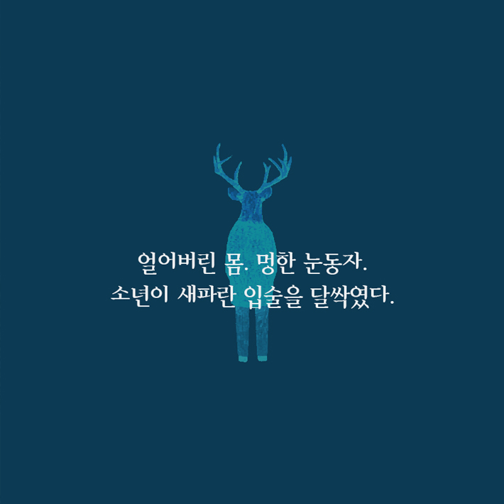 카드뉴스4