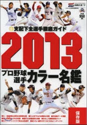 プロ野球選手カラ-名鑑 2013