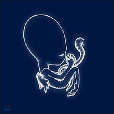 Sigur Ros - Agaetis Byrjun 2LP