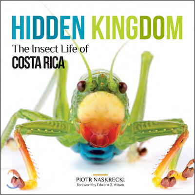 Hidden Kingdom: The Insect Life of Costa Rica