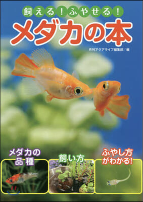 飼える!ふやせる!メダカの本