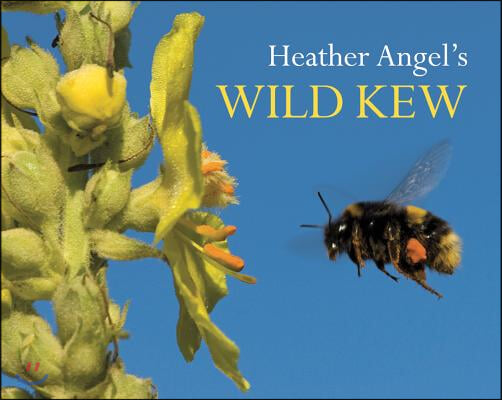 Heather Angel&#39;s Wild Kew