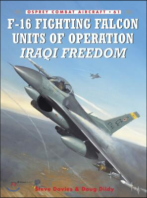 F-16 Fighting Falcon Units of Operation Iraqi Freedom