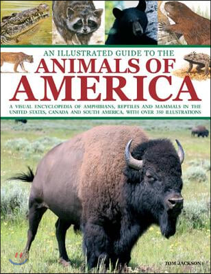 An Illustrated Guide to the Animals of America: A Visual Encyclopedia of Amphibians, Reptiles and Mammals in the United States, Canada and South Ameri