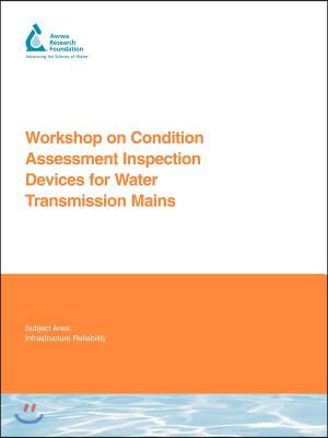 Workshop on Condition Assessment Inspection Devices for Water Transmission Mains