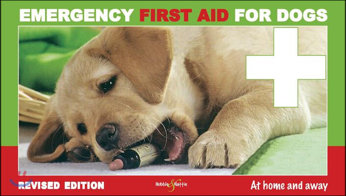 Emergency First Aid for Dogs: At Home and Away
