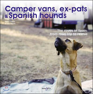 Camper Vans, Ex-Pats and Spanish Hounds: The Strays of Spain: From Road Trip to Rescue