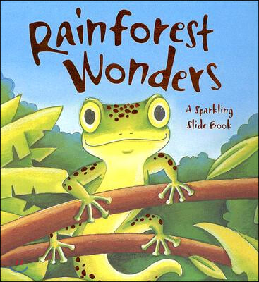 Rainforest Wonders