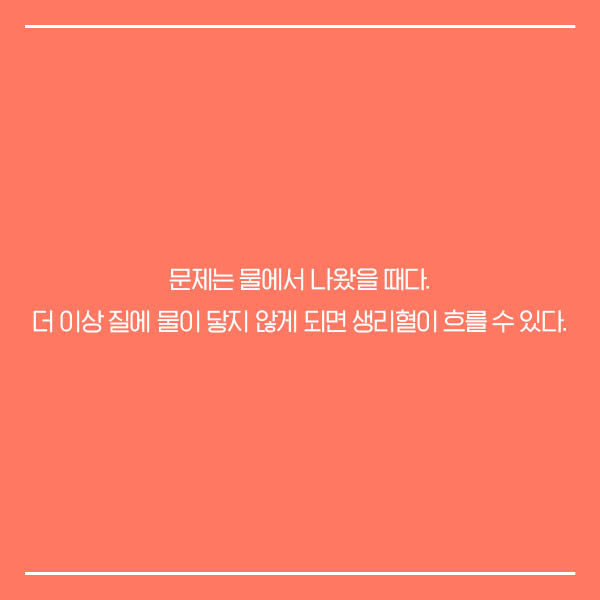 카드뉴스11