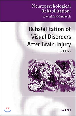 Rehabilitation of Visual Disorders After Brain Injury