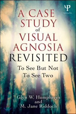 Case Study in Visual Agnosia Revisited