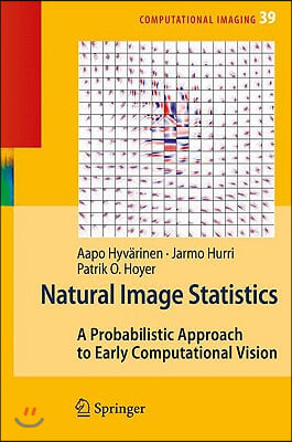 Natural Image Statistics: A Probabilistic Approach to Early Computational Vision
