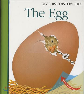 The Egg: Volume 4