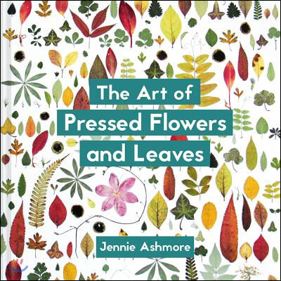 The Art of Pressed Flowers and Leaves : Contemporary techniques &amp; designs (Paperback)