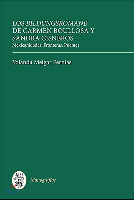 Los Bildungsromane Femeninos de Carmen Boullosa Y Sandra Cisneros: Mexicanidades, Fronteras, Puentes