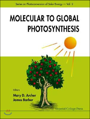 Molecular to Global Photosynthesis