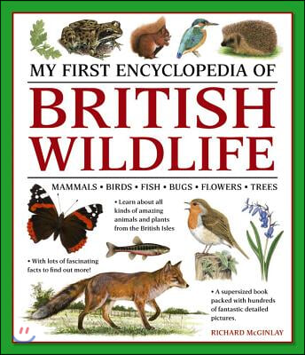 My First Encylopedia of British Wildlife: Mammals, Birds, Fish, Bugs, Flowers, Trees