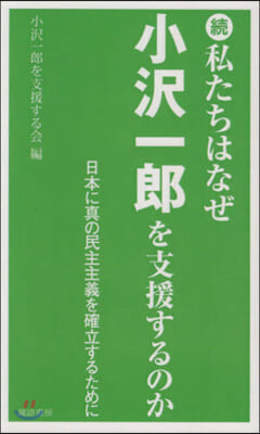 續.私たちはなぜ小澤一郞を支援するのか