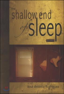 The Shallow End of Sleep: Poems