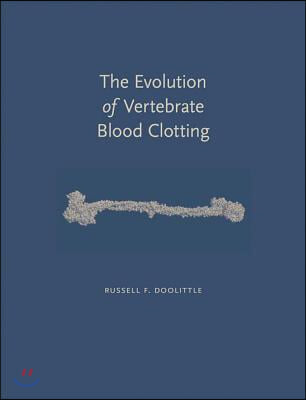 The Evolution of Vertebrate Blood Clotting