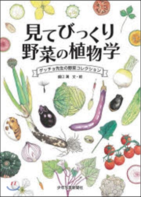 見てびっくり野菜の植物學 ゲッチョ先生の野菜コレクション