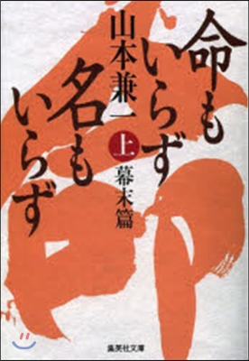 命もいらず名もいらず 上 幕末篇