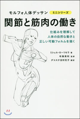 モルフォ人體デッサン ミニシリ-ズ 關節と筋肉の動き