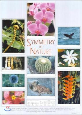 Symmetry in Nature Poster