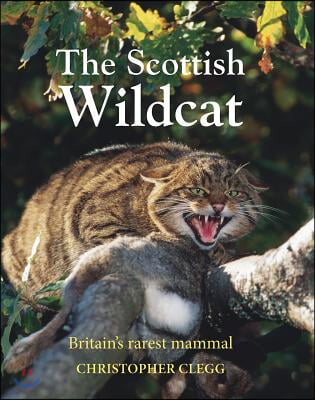 The Scottish Wildcat