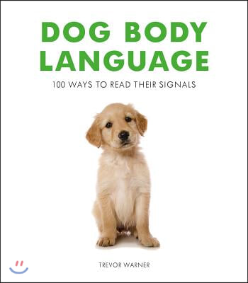 Dog Body Language: 100 Ways to Read Their Signals