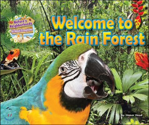 Welcome to the Rain Forest