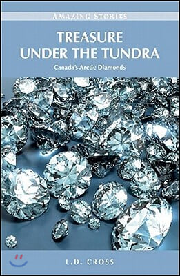 Treasure Under the Tundra: Canada&#39;s Arctic Diamonds